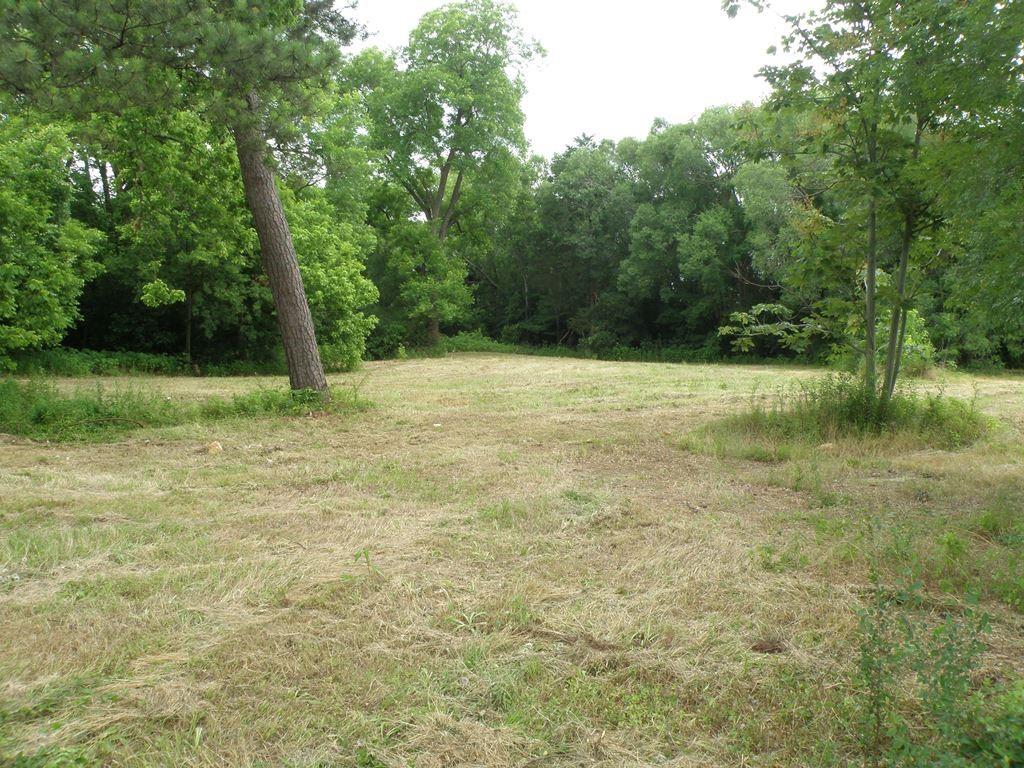 409 E Palestine Avenue Palestine TX 75801