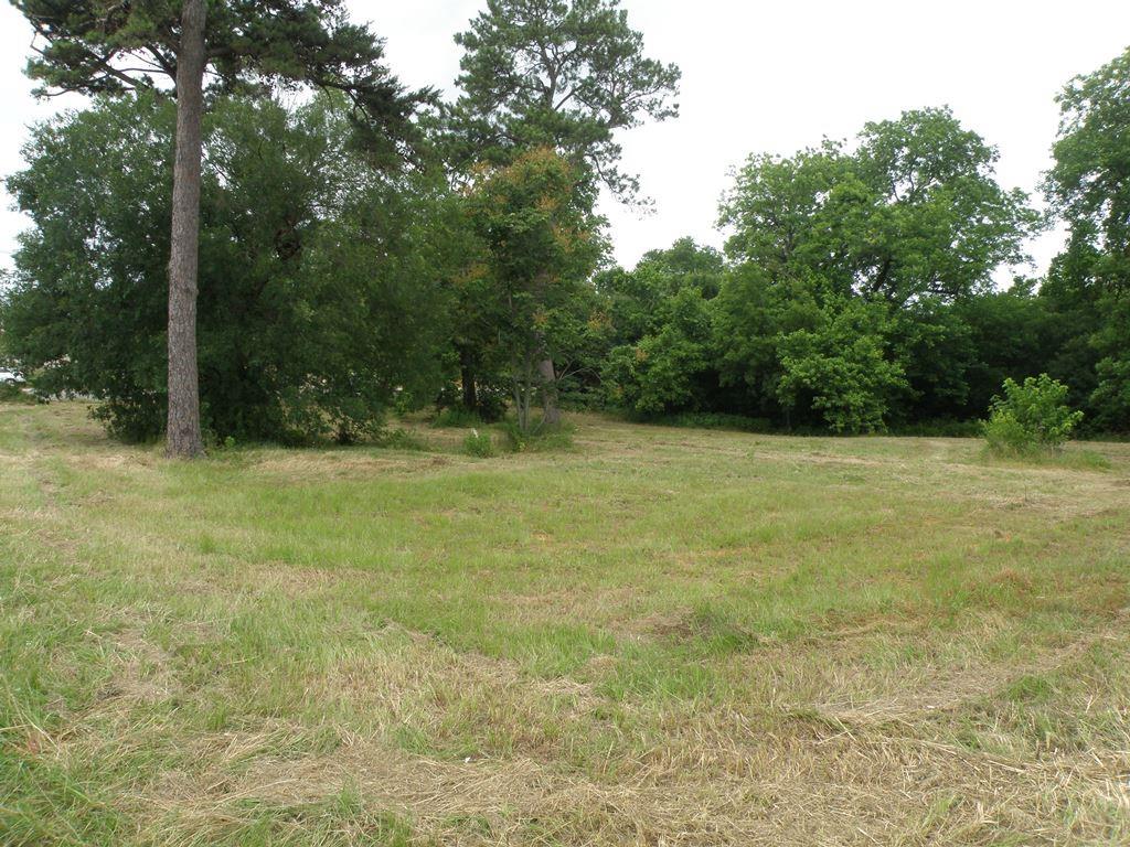 409 E Palestine Avenue Palestine TX 75801