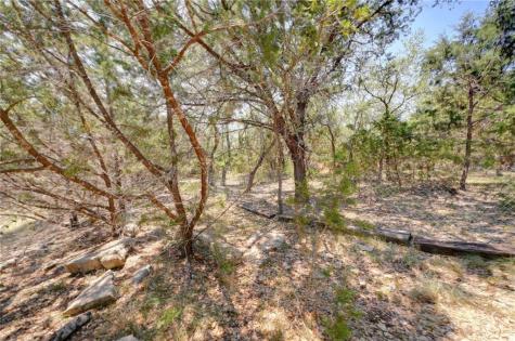 135 Mountainview Drive Canyon Lake TX 78133