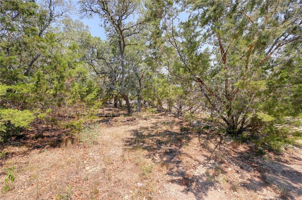 135 Mountainview Drive Canyon Lake TX 78133