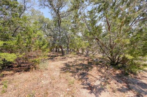 135 Mountainview Drive Canyon Lake TX 78133