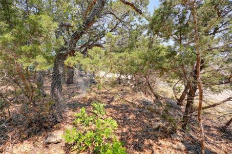 135 Mountainview Drive Canyon Lake TX 78133