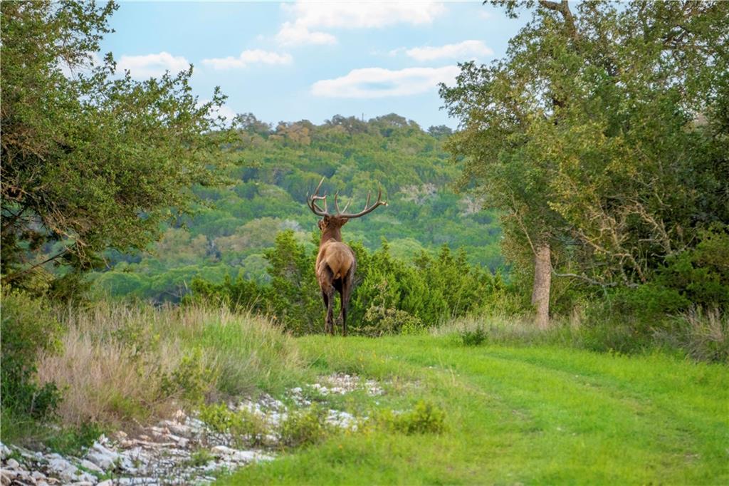 901 High Mountain Road Burnet TX 78611